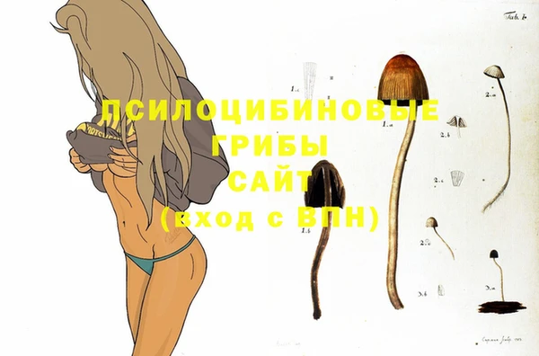 ECSTASY Балабаново
