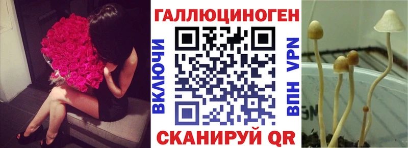omg   закладка  Шарыпово  Галлюциногенные грибы GOLDEN TEACHER 